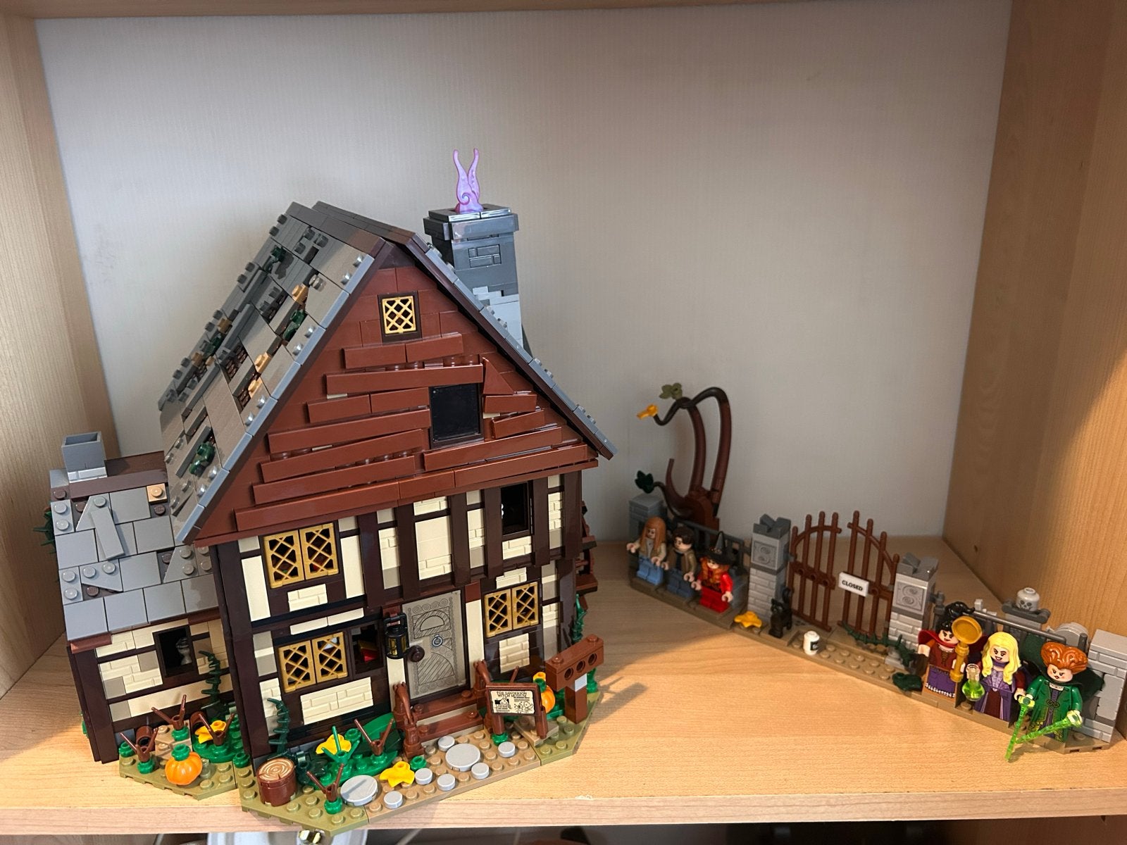 Lego Ideas Hocus Pocus: Het Heksenhuisje van de Sanderson Zu, Ophalen, Zo goed als nieuw