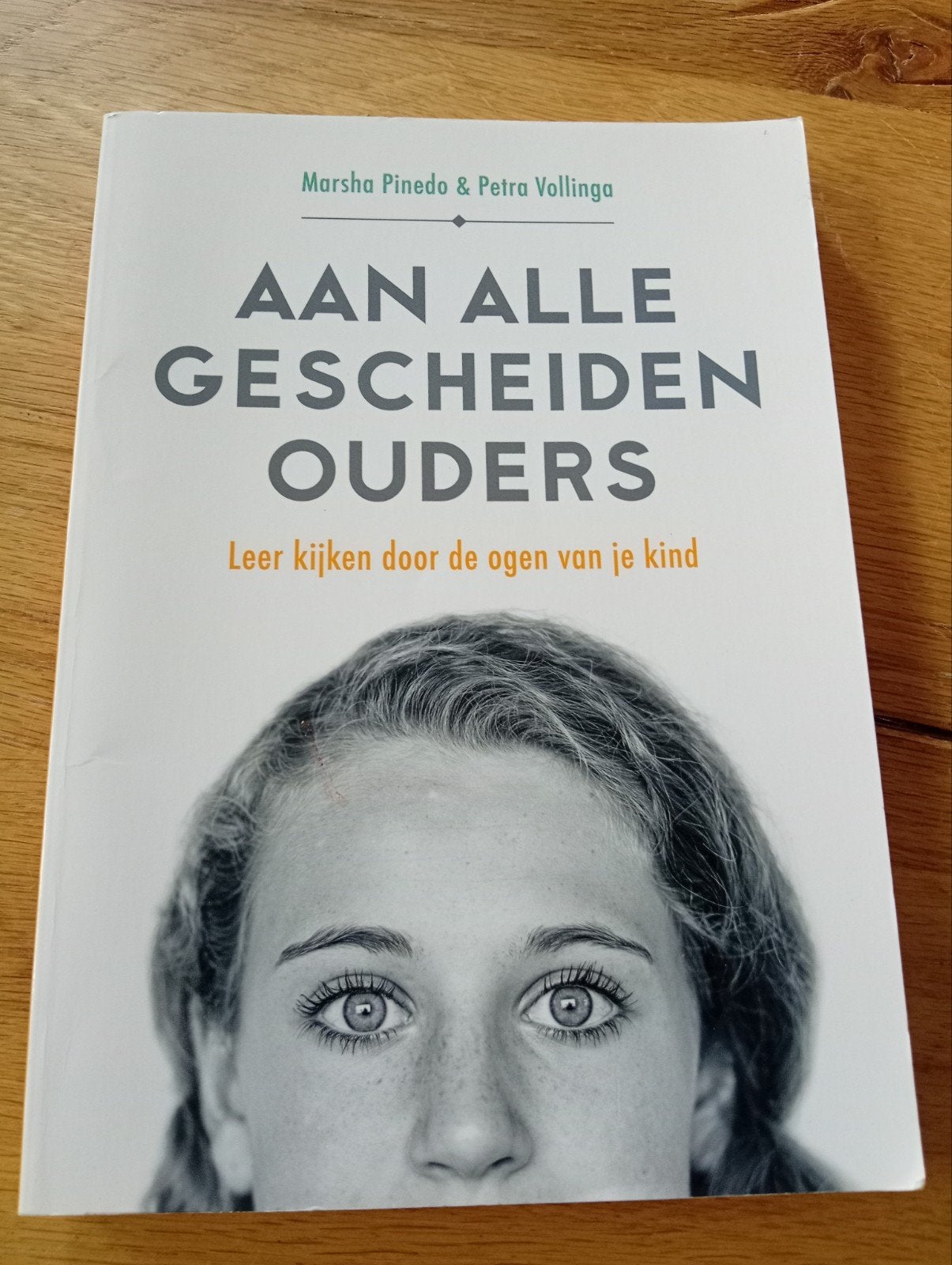 Aan alle gescheiden ouders - Marsha Pinedo, Ophalen of Verzenden, Gelezen, Marsha Pinedo & Petra Vollinga