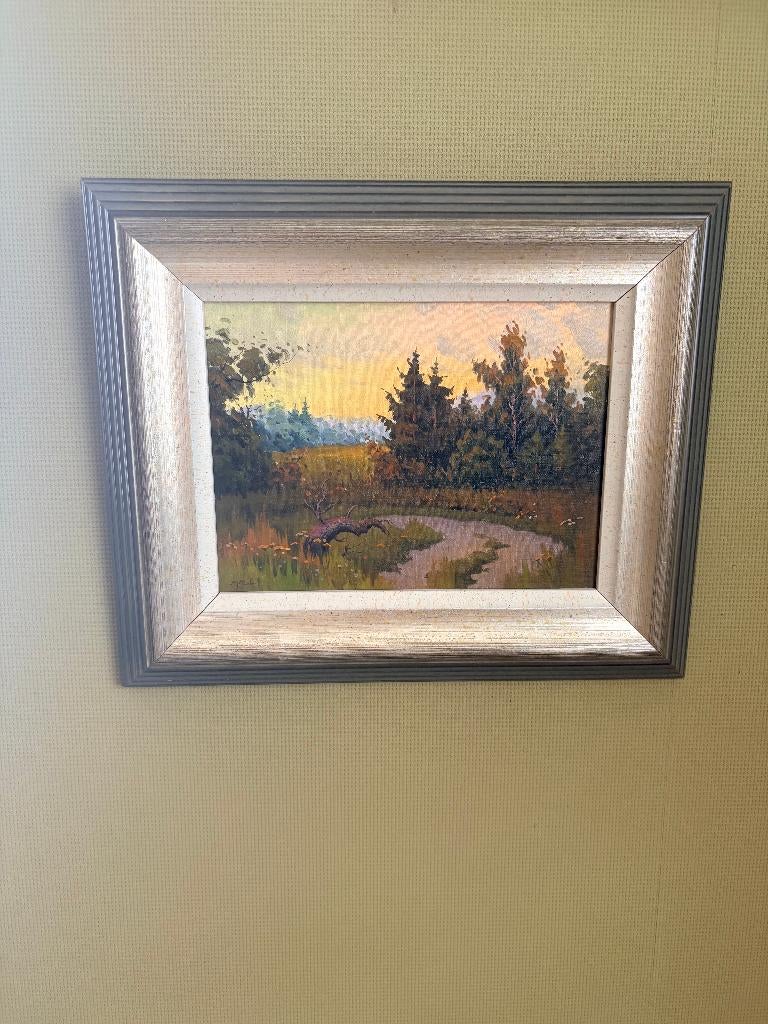 schilderij bos dennenbomen in mooie lijst 30x36cm, Ophalen of Verzenden