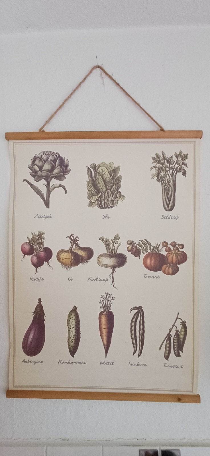 Poster, groente, keuken, Verzamelen, Ophalen of Verzenden, A1 t/m A3, Dier of Natuur, Rechthoekig Staand