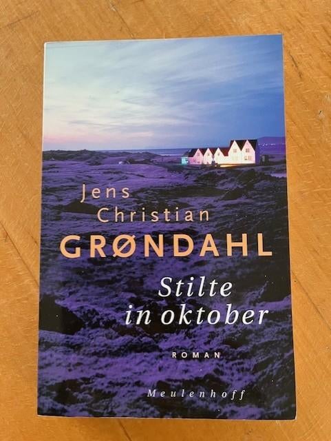 Stilte in oktober - Jens Christian Grondahl, Boeken, Ophalen of Verzenden, Zo goed als nieuw, Jens Christian Grondahl