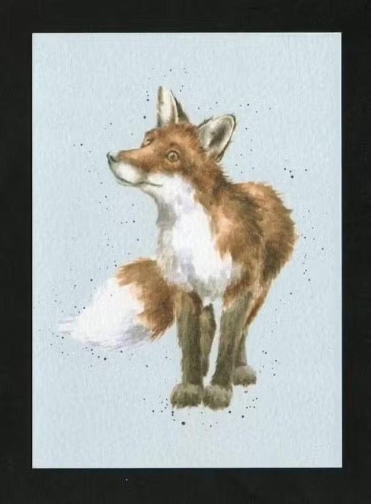 Vos Vulpes Vulpes door Hannah Dale., Ophalen of Verzenden, 1980 tot heden, Ongelopen, Wild dier