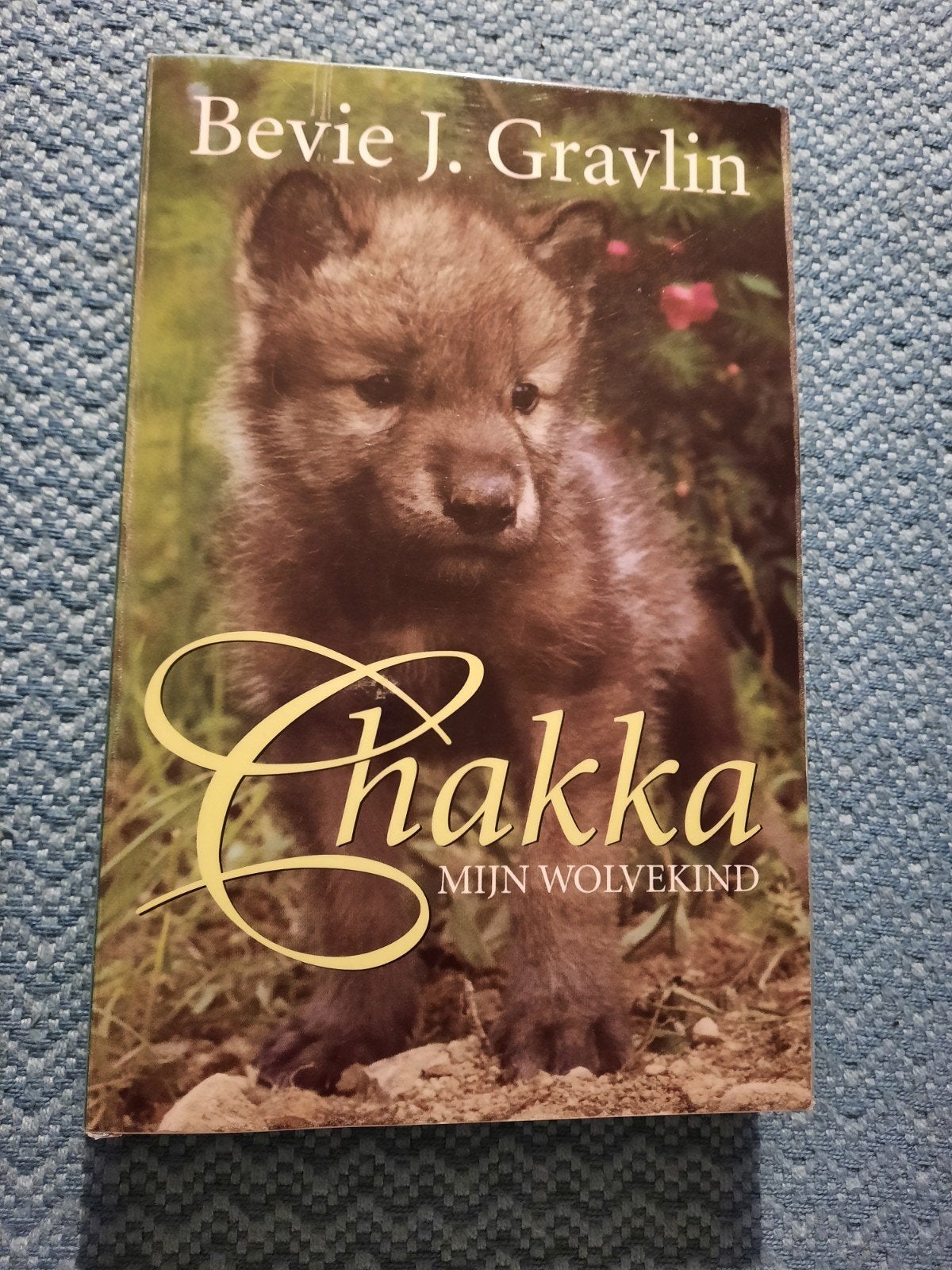 Chakka: Mijn Wolvekind - Bevie J. Gravlin (Paperback), Boeken, Dieren en Huisdieren, Ophalen of Verzenden, Gelezen, Paarden of Pony's