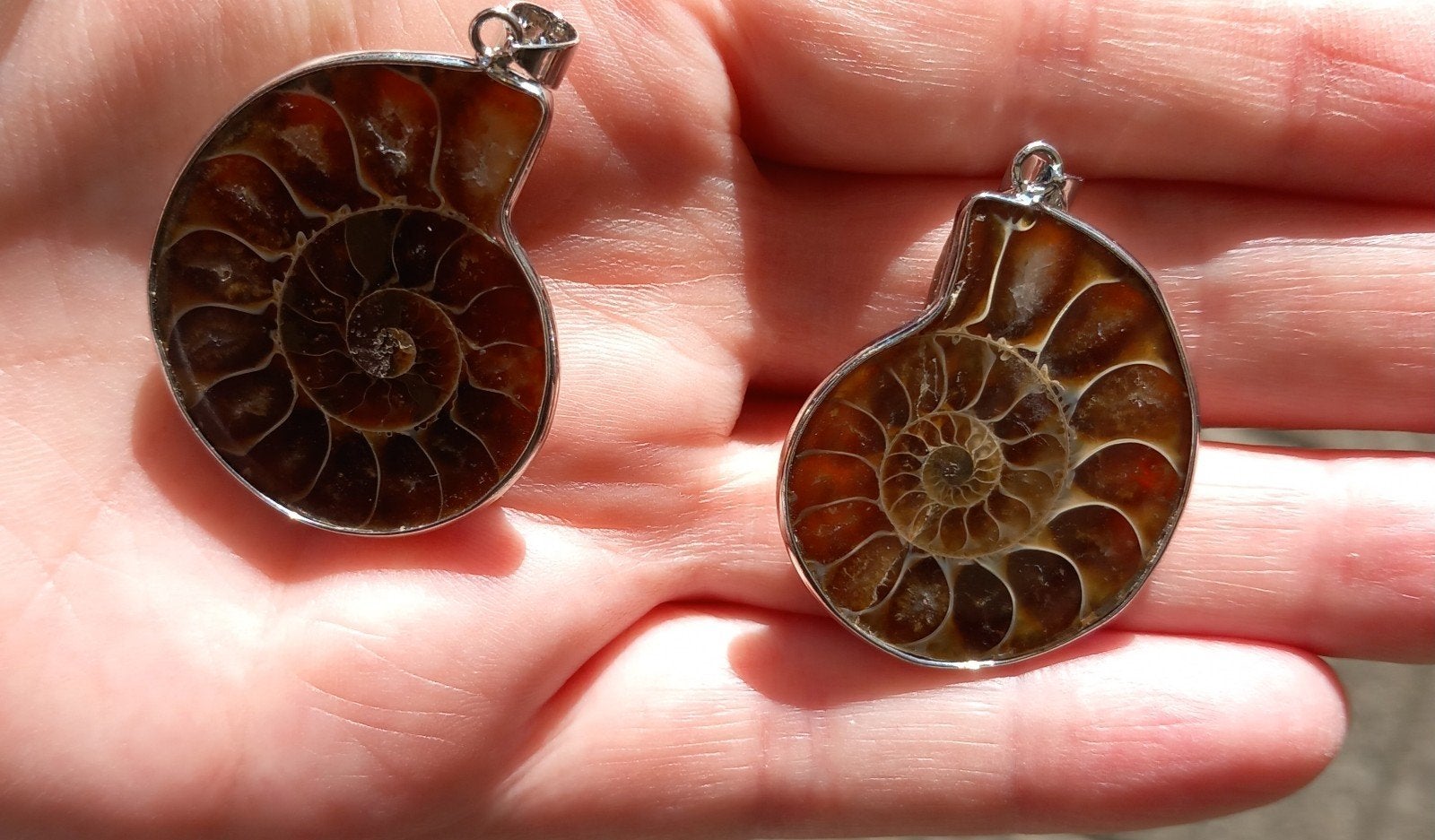 Ammoniet Hangers, Sieraden, Tassen en Uiterlijk, Edelstenen, Ophalen