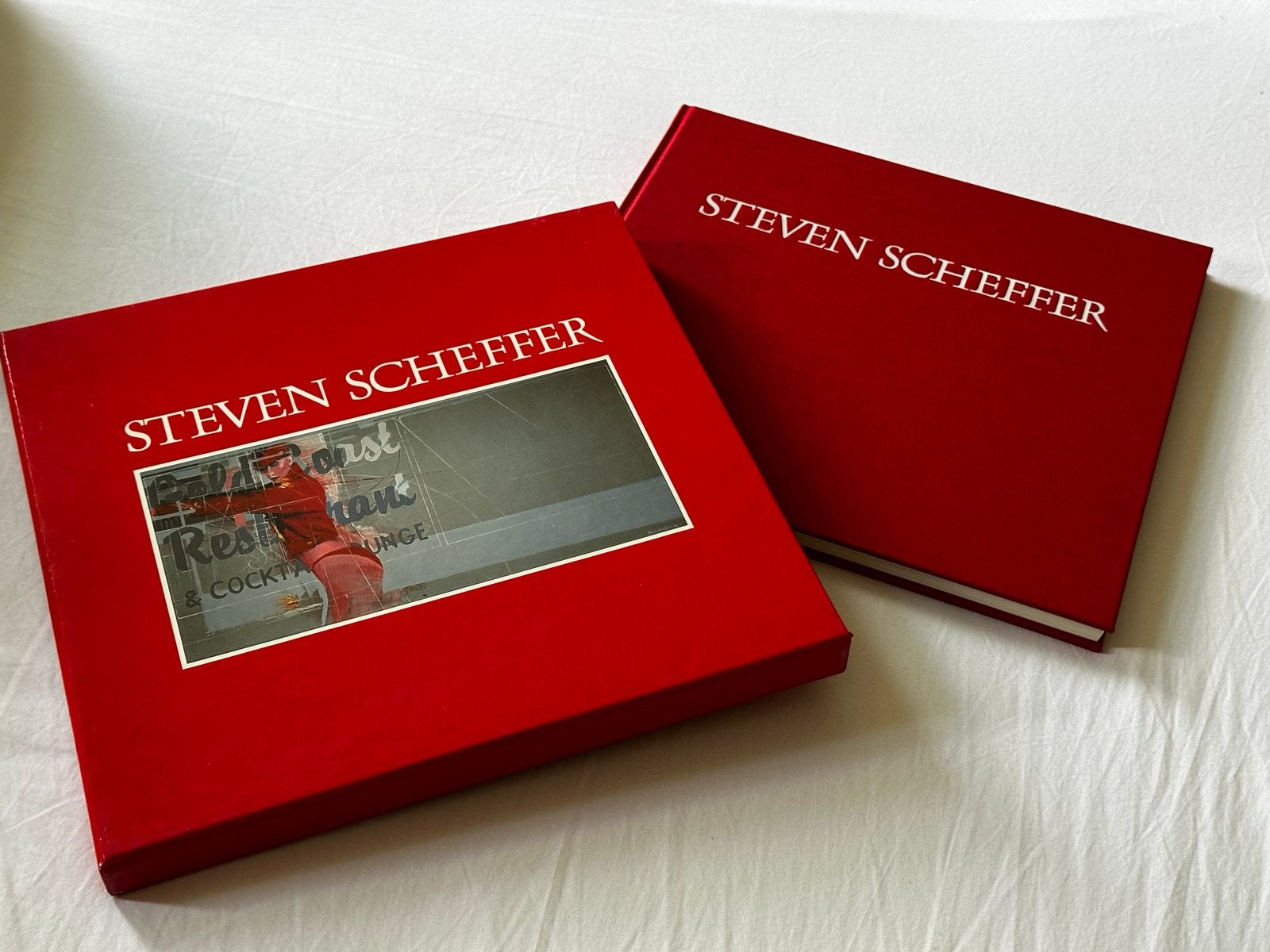 Steven Scheffer boek met stofomslag - exemplaar 426/750, Boeken, Ophalen of Verzenden, Zo goed als nieuw, Nederland