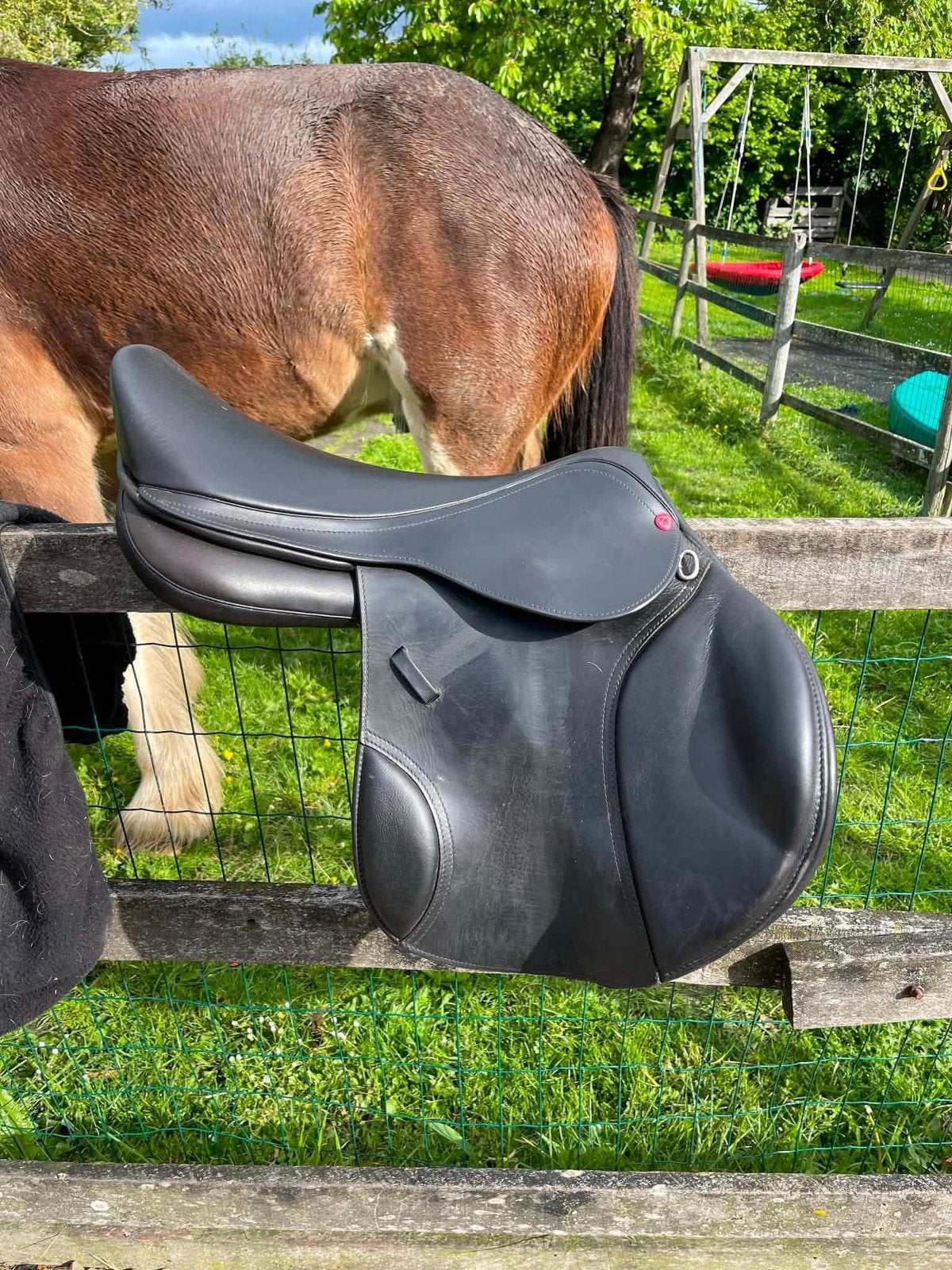 Edix Alydar 18 inch, Verzenden, Zo goed als nieuw, Dressuur