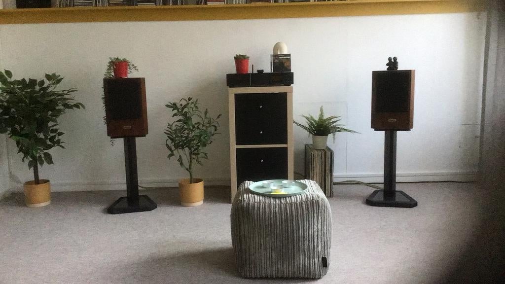TANNOY D 100, Zo goed als nieuw, 60 tot 120 watt, Front, Rear of Stereo speakers, Ophalen