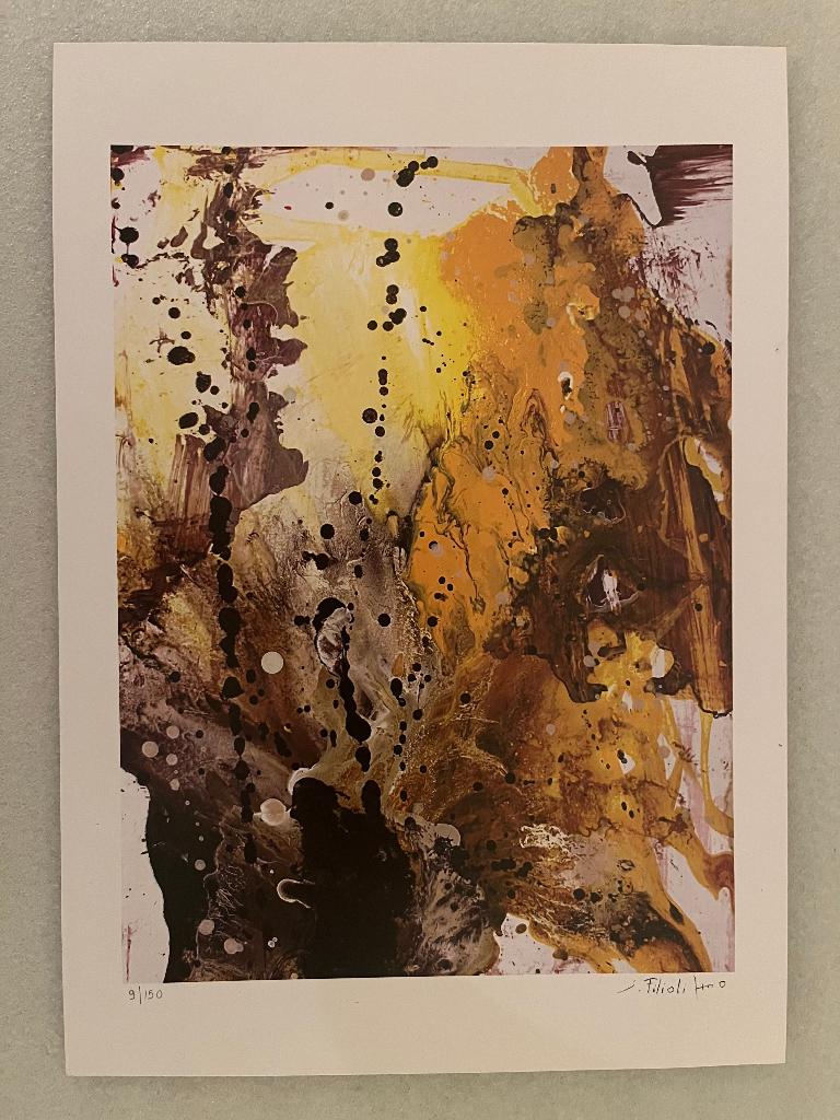 gesigneerd abstract kunstwerk Saverio Filioli + certificaat, Antiek en Kunst, Kunst | Litho's en Zeefdrukken, Gelimiteerde oplage