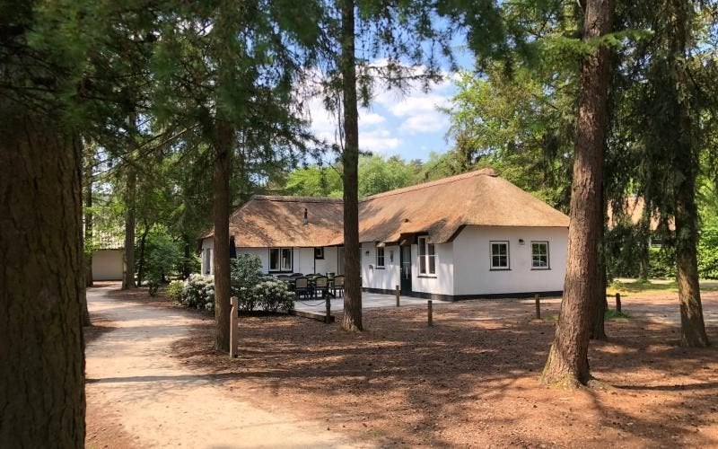 Vakantie met groepen - Otterlo op de Veluwe, 8 personen, In bos, Afwasmachine, 2 slaapkamers