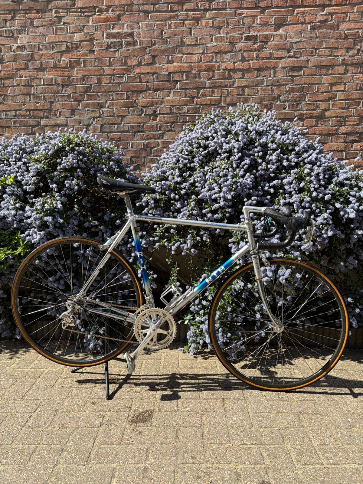 Vintage RIH racefiets campagnolo nieuwstaat framemaat 57,5, Aluminium, Zo goed als nieuw, Meer dan 20 versnellingen, Ophalen