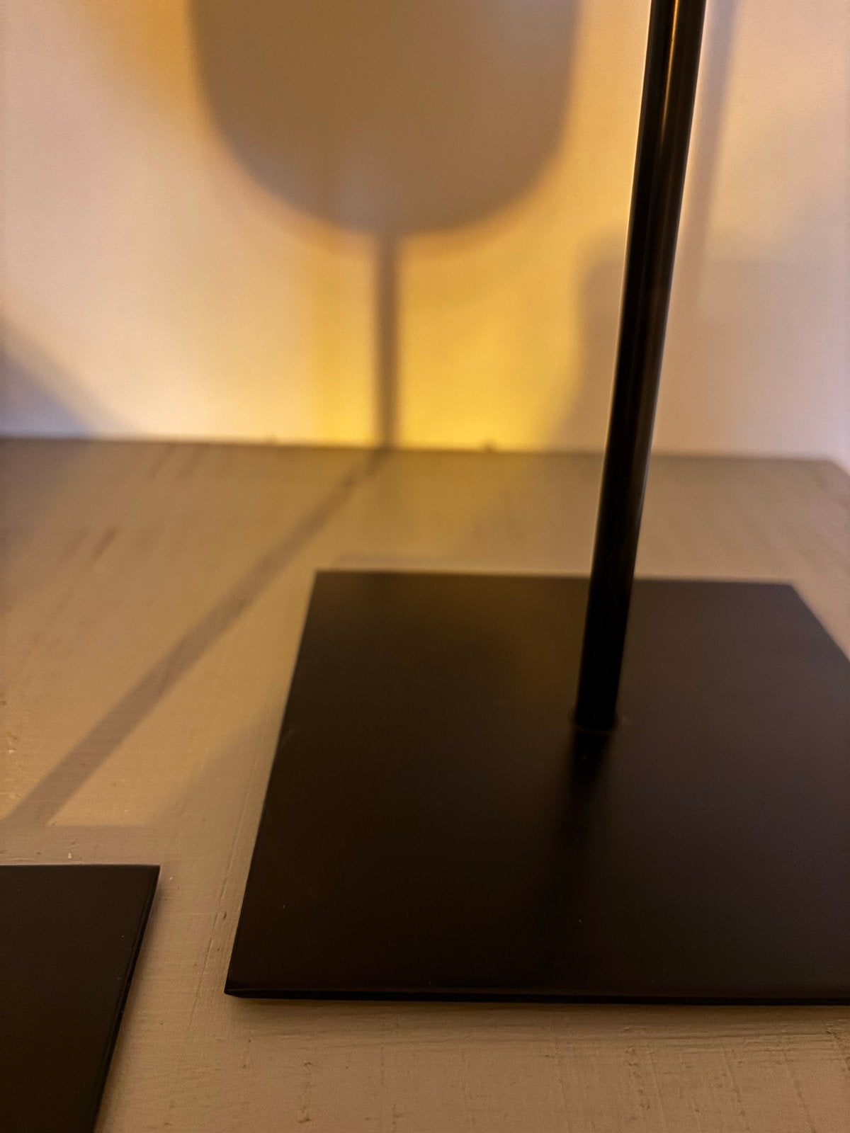 Schildpad schilden van polyresin - wanddecoratie of op stati, Overige stijlen, Kunststof, Ophalen of Verzenden, Zo goed als nieuw