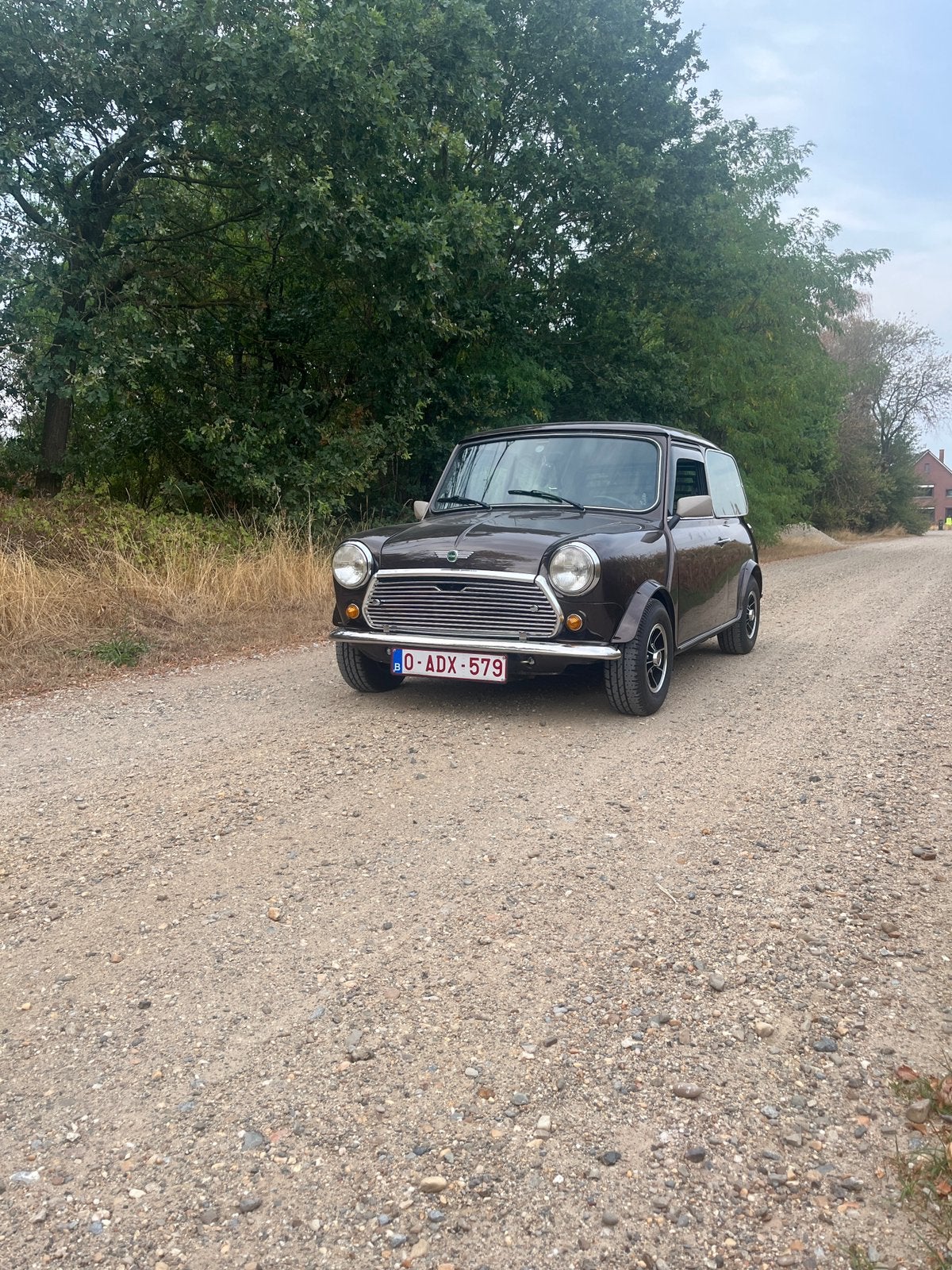 Classic mini 1983, Auto-onderdelen, Ophalen of Verzenden