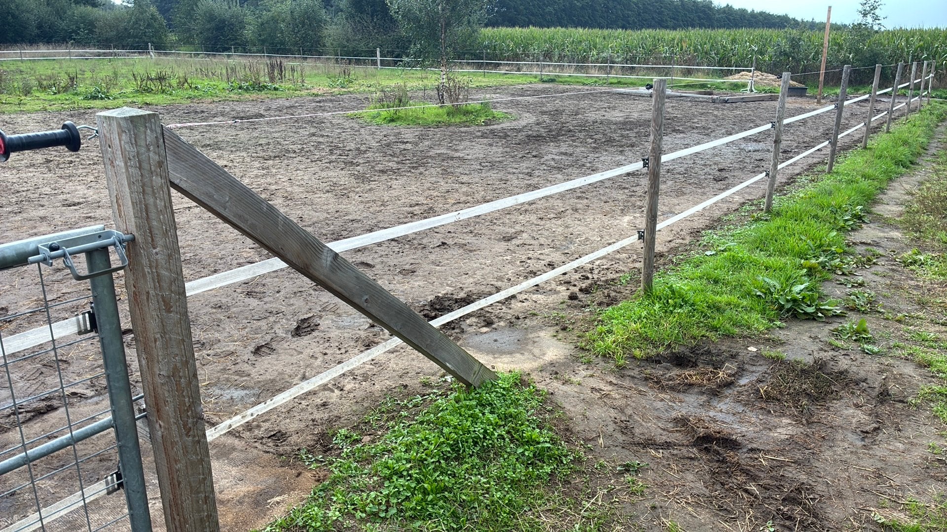 Ca 160 meter omheining / afrastering, Tuin en Terras, Ophalen, Zo goed als nieuw, IJzer