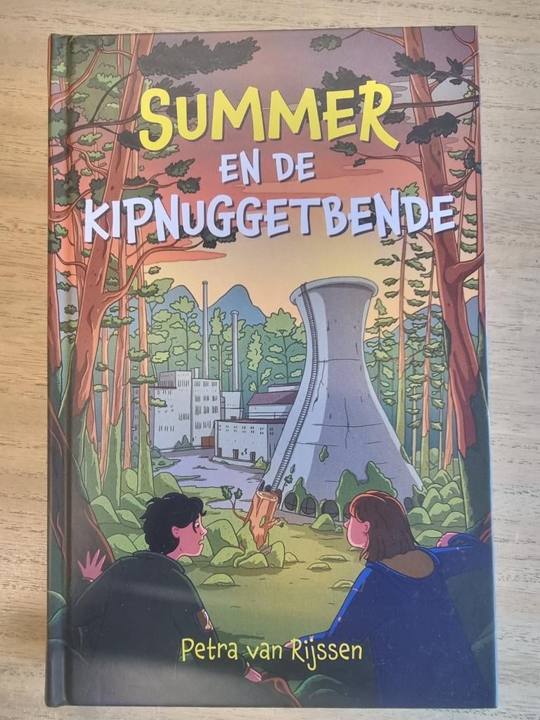 Diverse kinderboeken verkoop, Verzenden, Zo goed als nieuw, Petra van Rijssen