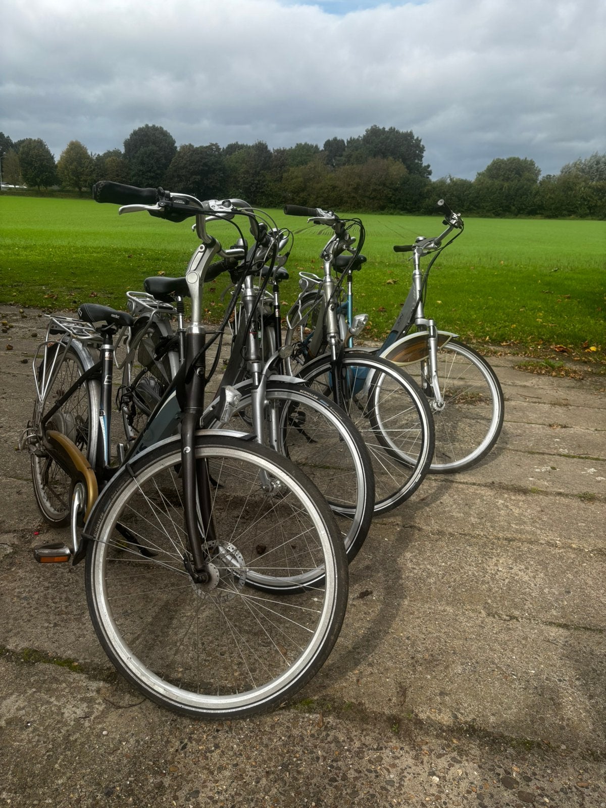 Partij (elektrische)fietsen opknappers te koop, Ophalen, Versnellingen, Batavus, 53 tot 56 cm