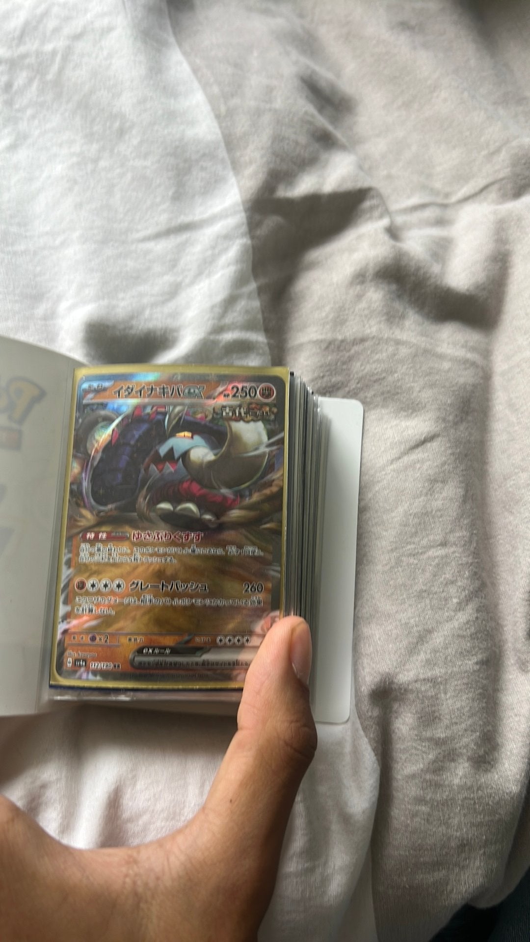 Pokemon japans koreans boekje, Hobby en Vrije tijd, Ophalen of Verzenden, Zo goed als nieuw