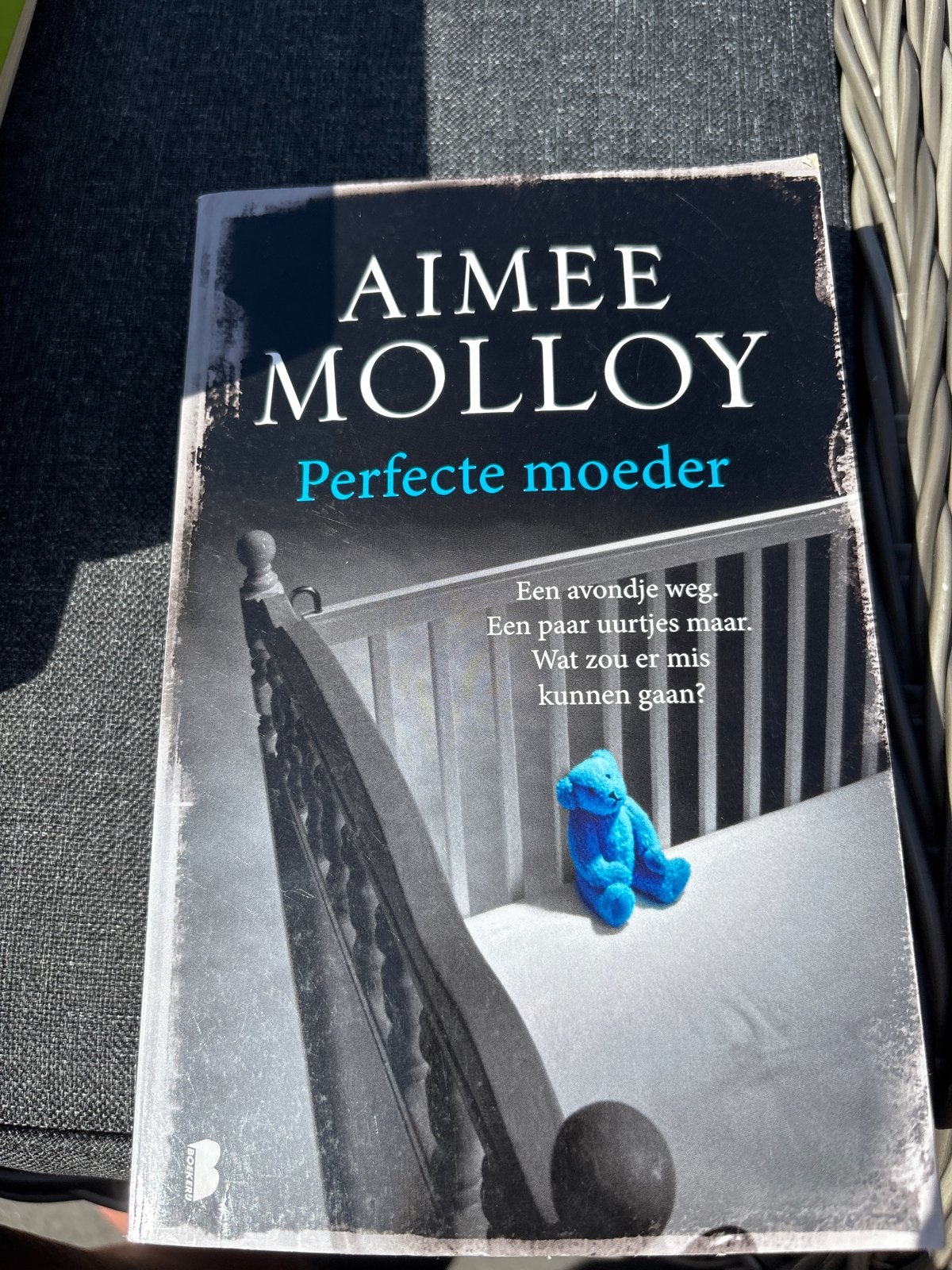 Perfecte Moeder - Aimee Molloy (Thriller), Ophalen of Verzenden, Zo goed als nieuw, Europa overig