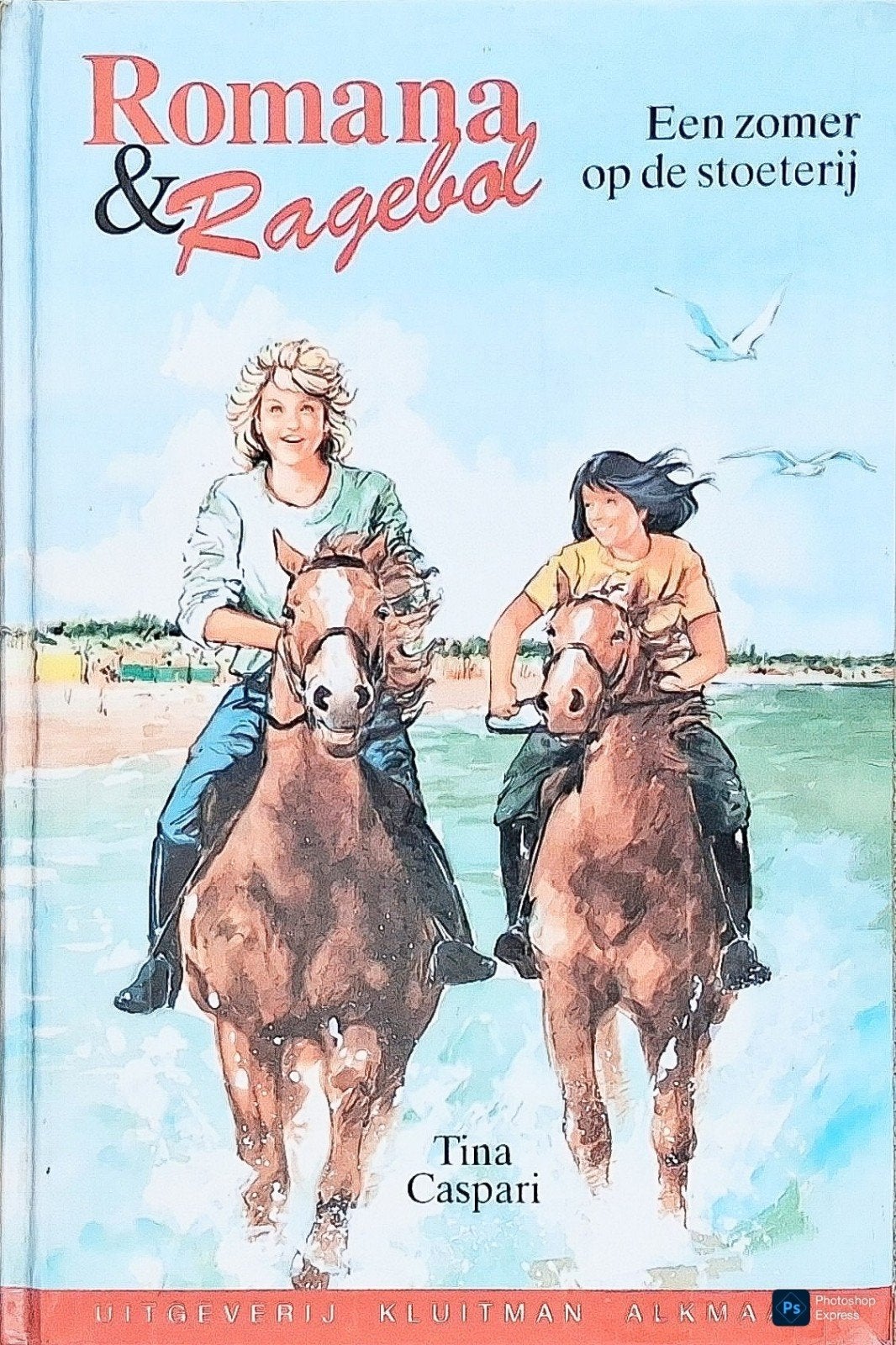 Romana & Ragebol Een Zomer Stoeterij, Gelezen, Ophalen of Verzenden, Fictie, Tina Caspari.