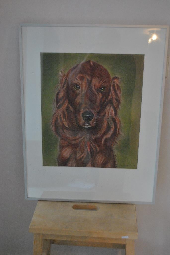 Krijttekening, Hond, Ophalen