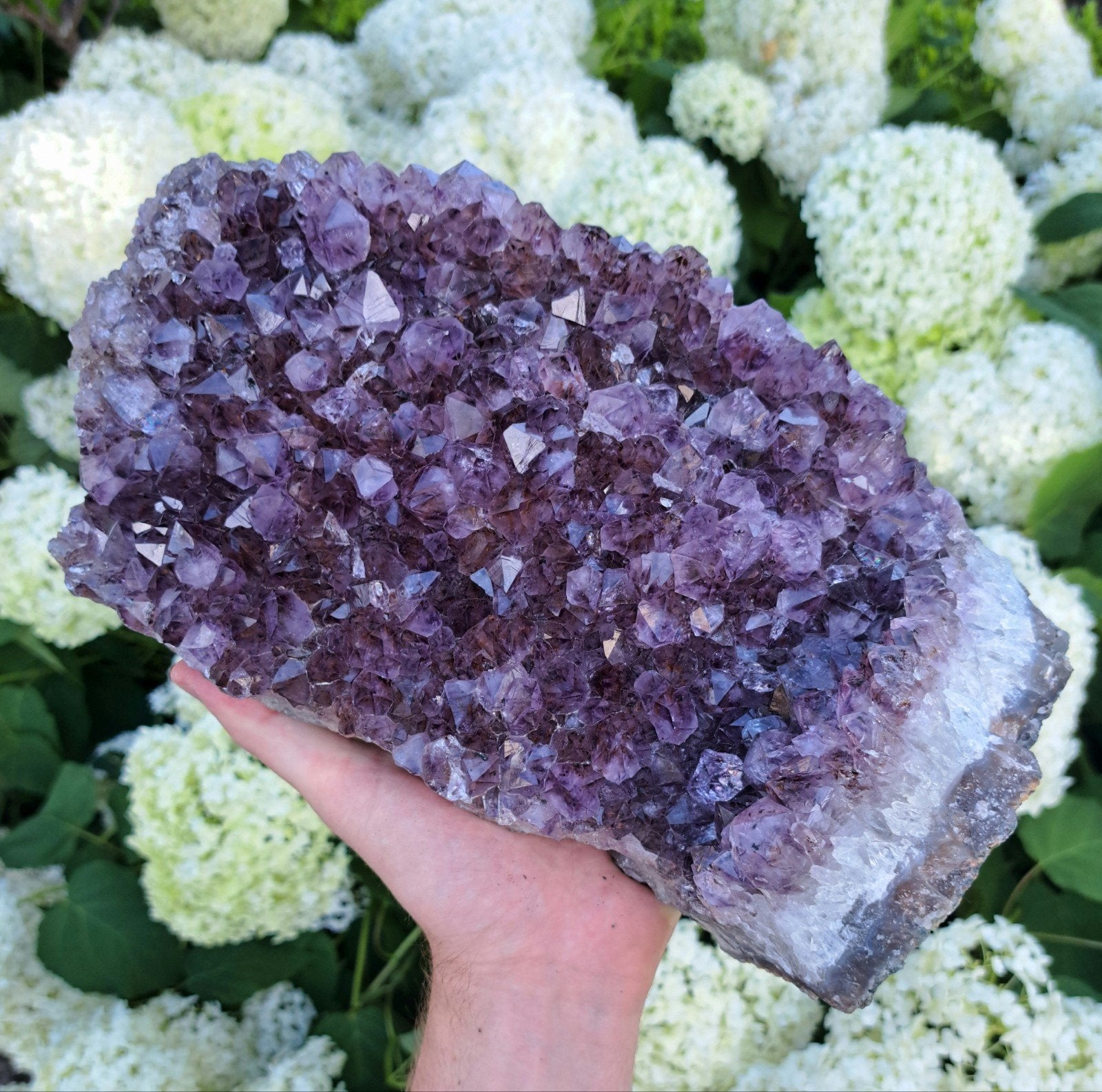 Grote Amethist Uruguay edelstenen cluster edelsteen mineraal, Ophalen of Verzenden