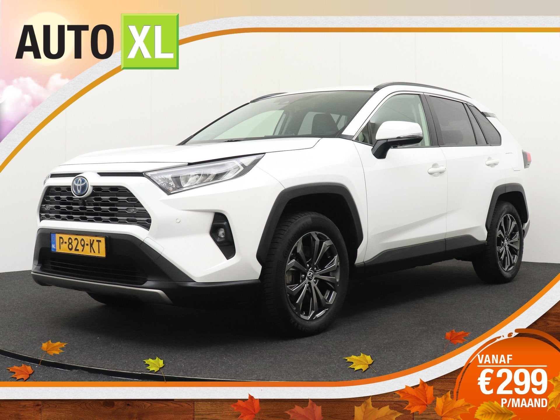 Toyota RAV4 2.5 Hybrid Business+ JBL 360* Camera Leder, Dealer onderhouden, Gebruikt, 4 cilinders, Wit