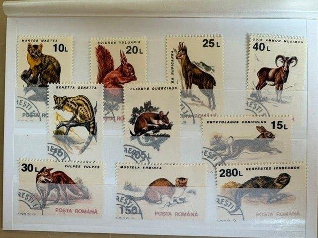 postzegels Polen dieren Roemenie, Postzegels en Munten, Verzenden, Gestempeld, Dier of Natuur