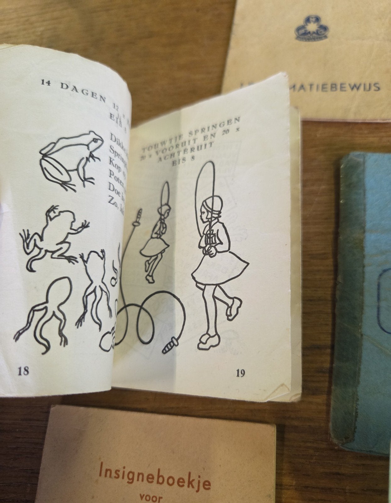 oude padvinders zakboekje insigneboekje, Gebruikt, Ophalen of Verzenden, X, X