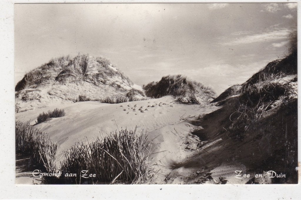 Egmond aan Zee-Zee en Duin circa 1957, Ophalen of Verzenden, 1940 tot 1960, Ongelopen, Noord-Holland
