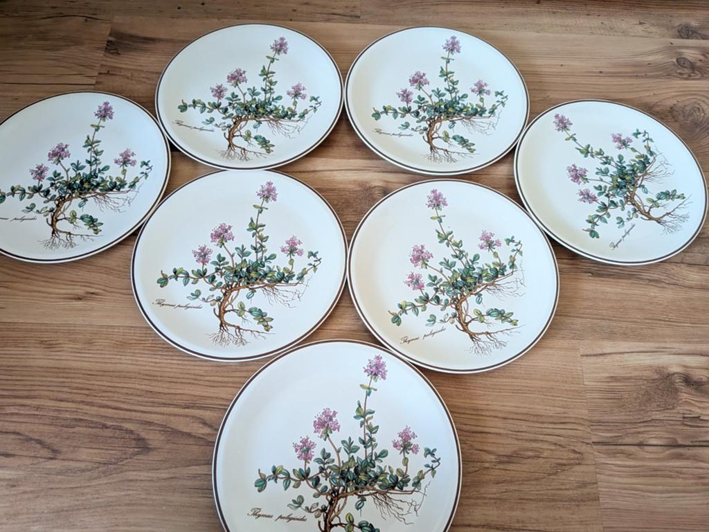Villeroy &  Boch Botanica, Ophalen of Verzenden