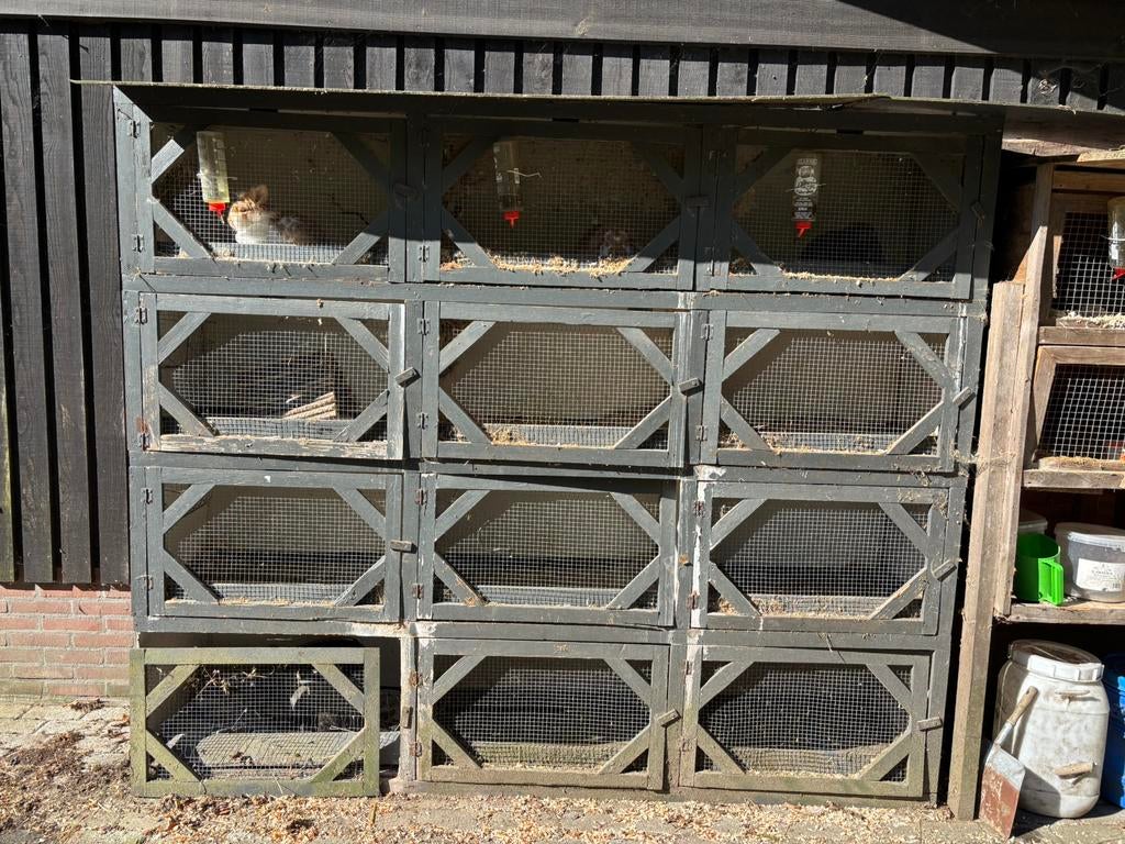Konijnen flat, Dieren en Toebehoren, Ophalen, 90 cm of meer, Hok, Fret
