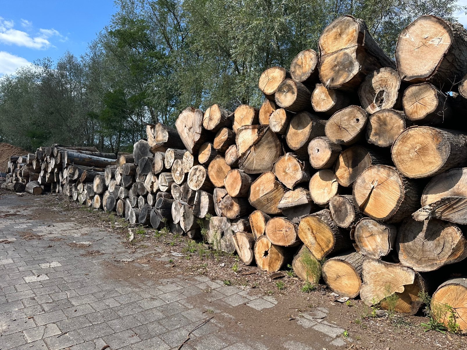 Stammen brandhout eik en beuk, 6 m³ of meer, Ophalen