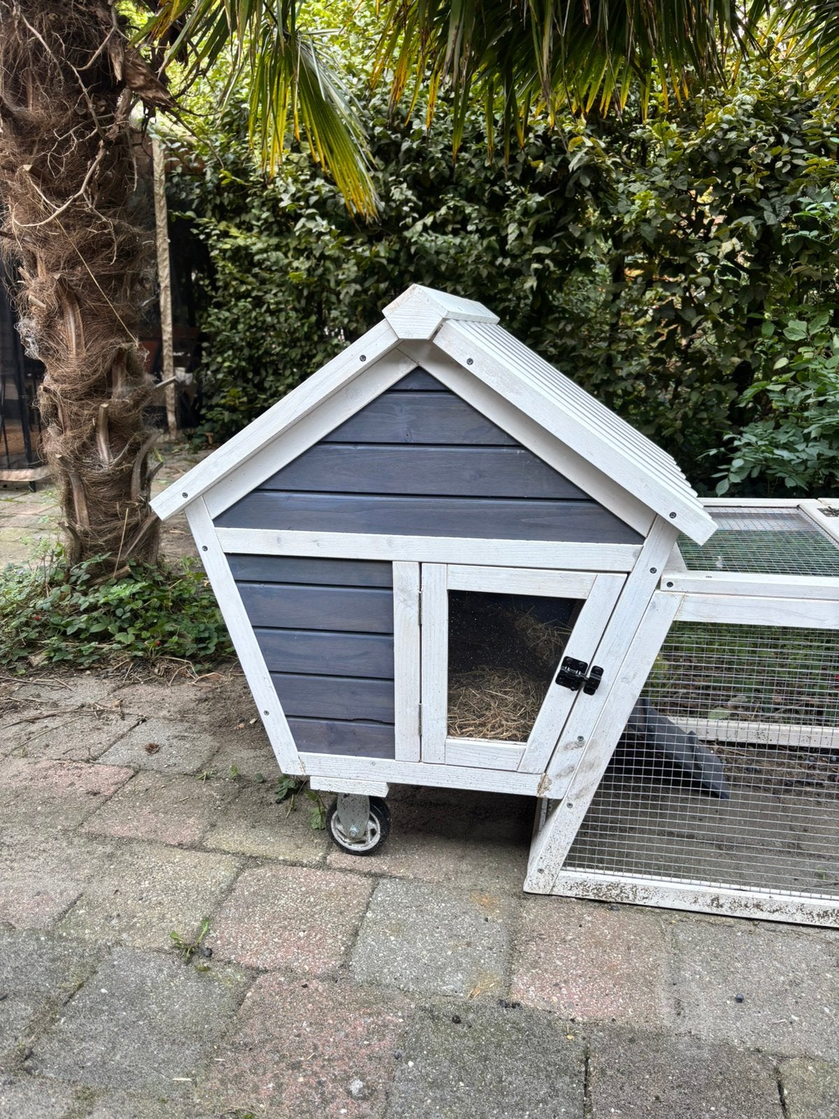 Buitenhok, Ophalen, Zo goed als nieuw, Kippenhok of Kippenren