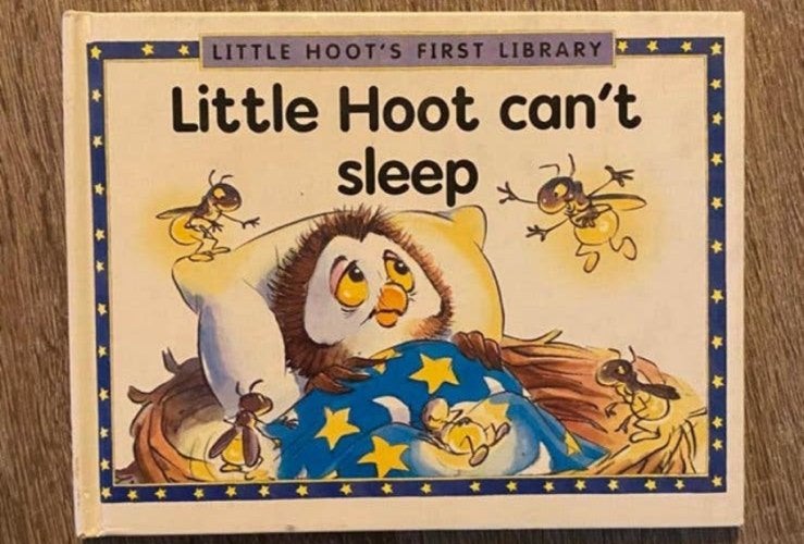 Engels prentenboek: little hoot can’t sleep, Ophalen of Verzenden, Zo goed als nieuw