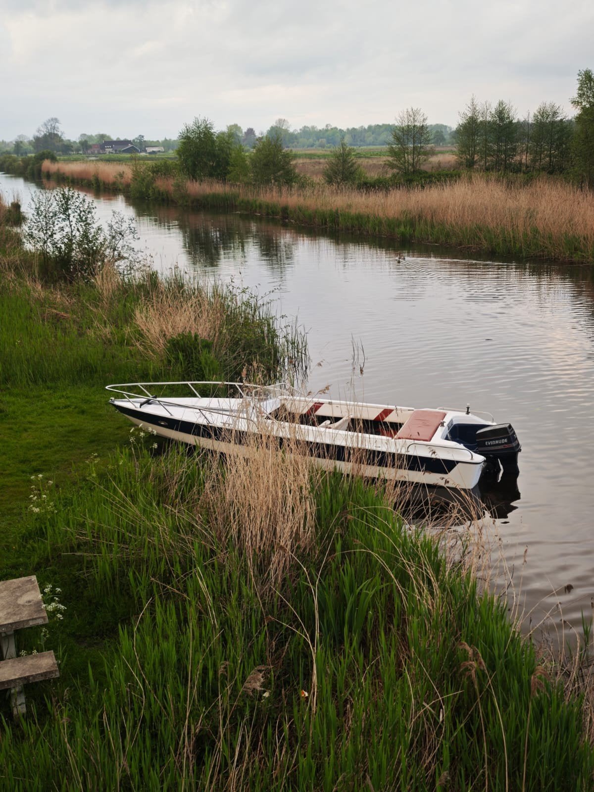 Tourboot 7 meter kom met een leuke prijs en hij is van jouw, Ophalen of Verzenden, Buitenboordmotor