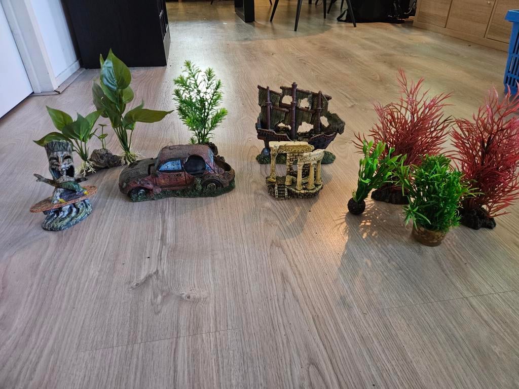 Te ruil: aquarium decoratie, planten, auto, tempel etc, Dieren en Toebehoren, Ophalen of Verzenden, Plant(en), Steen of Hout