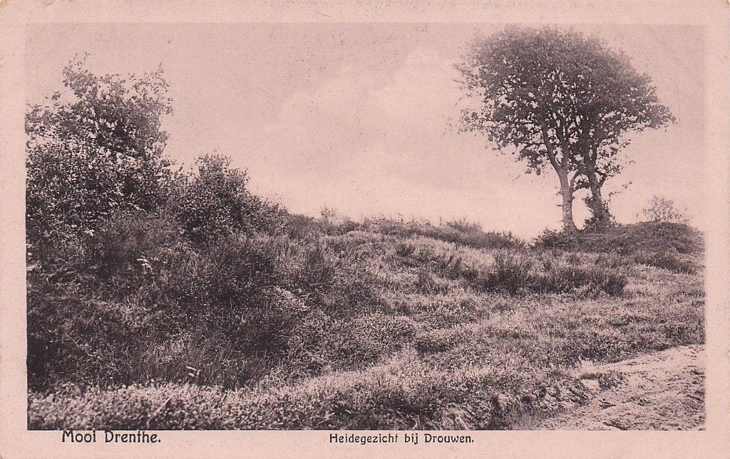 Drouwen - Heidegezicht, Ophalen of Verzenden, 1920 tot 1940, Ongelopen, Drenthe
