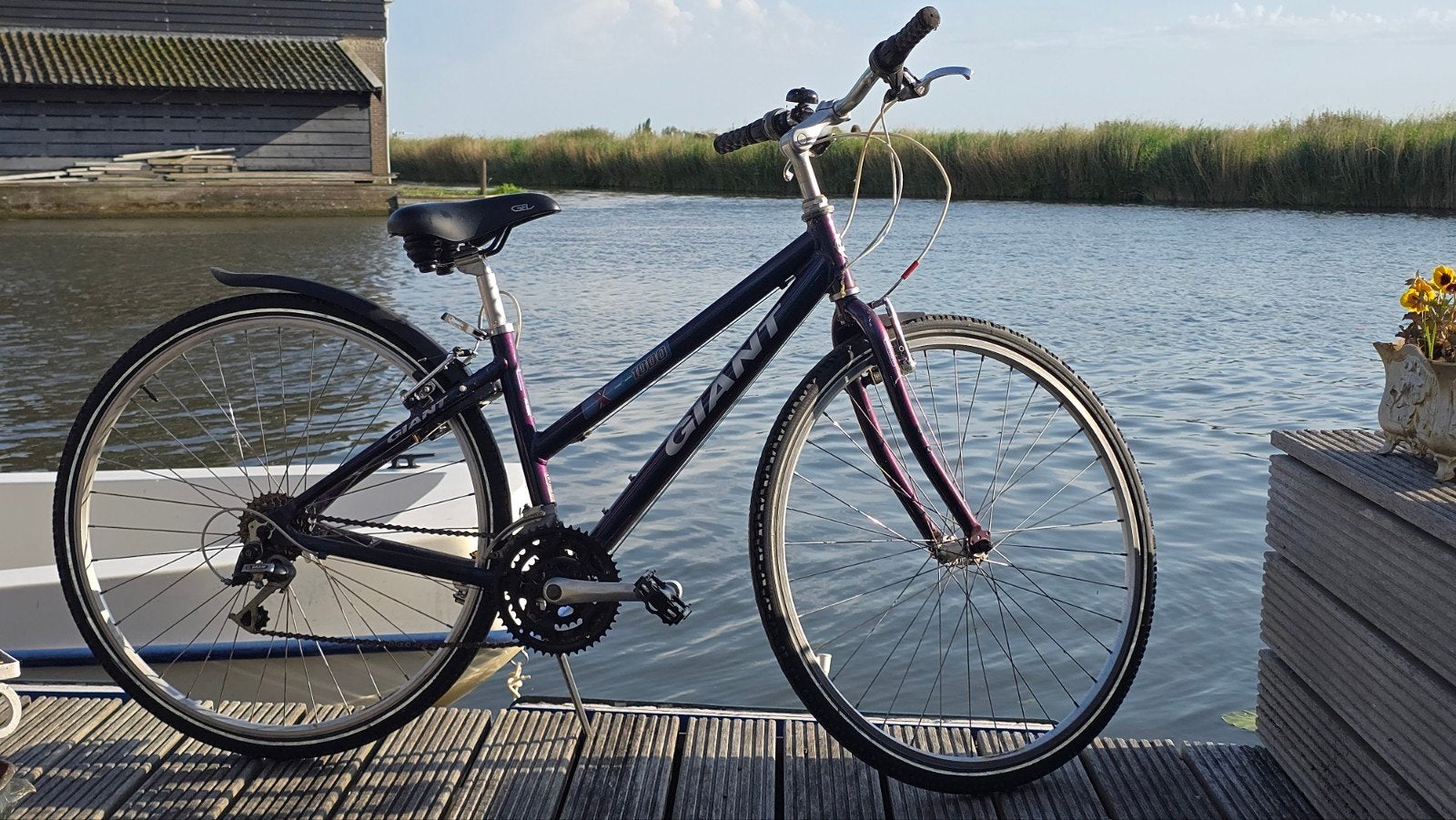 Mooie Giant fiets framemaat 15.5inch., Ophalen of Verzenden, Gebruikt, Meer dan 20 versnellingen, Giant