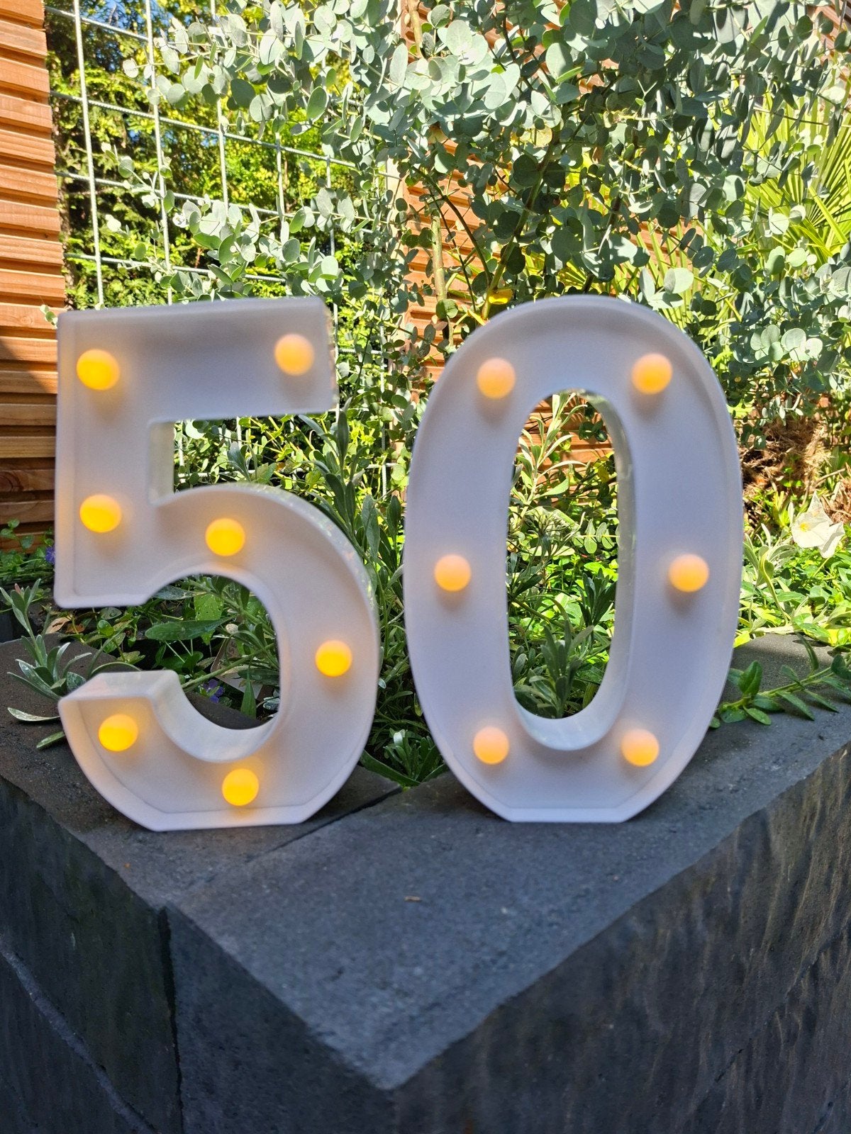 LED Cijfers 50 - Verlichte Decoratie voor Feestjes, Ophalen of Verzenden, Zo goed als nieuw, Versiering, Abraham of Sarah
