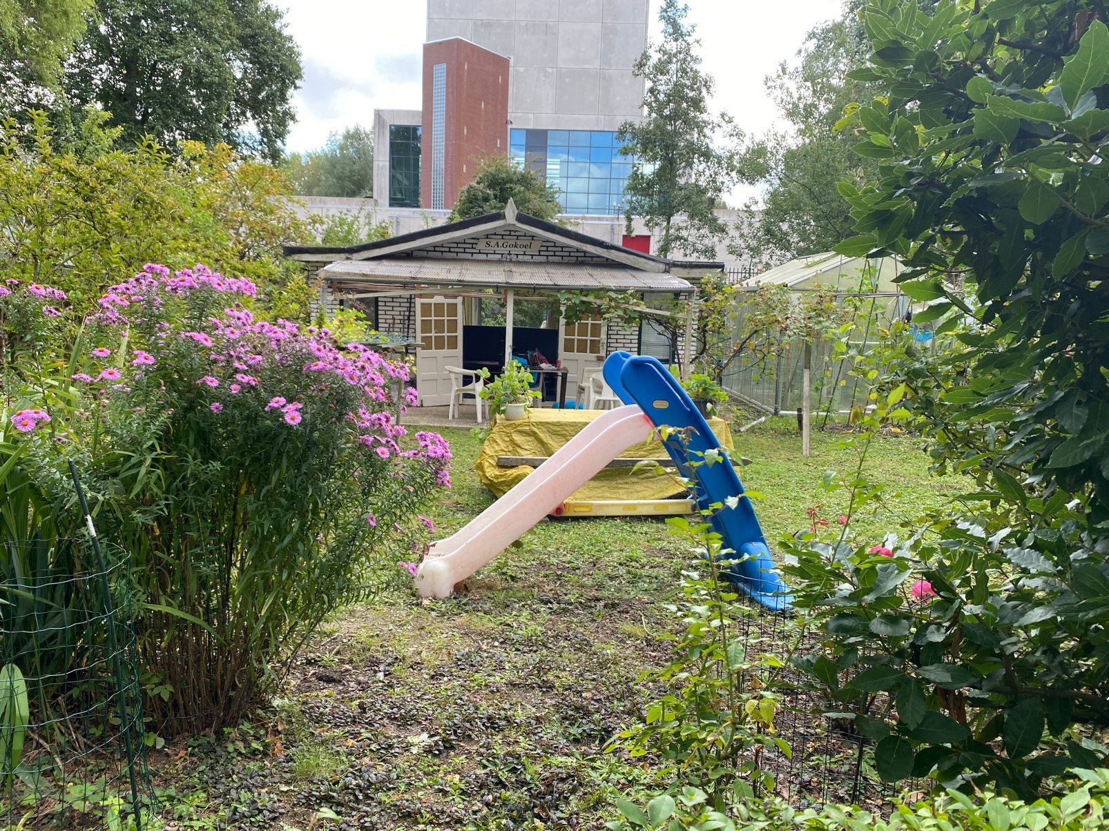 Volkstuin/ tuinhuisje te koop, Ophalen, Overige materialen, Gebruikt, 3 ramen of meer