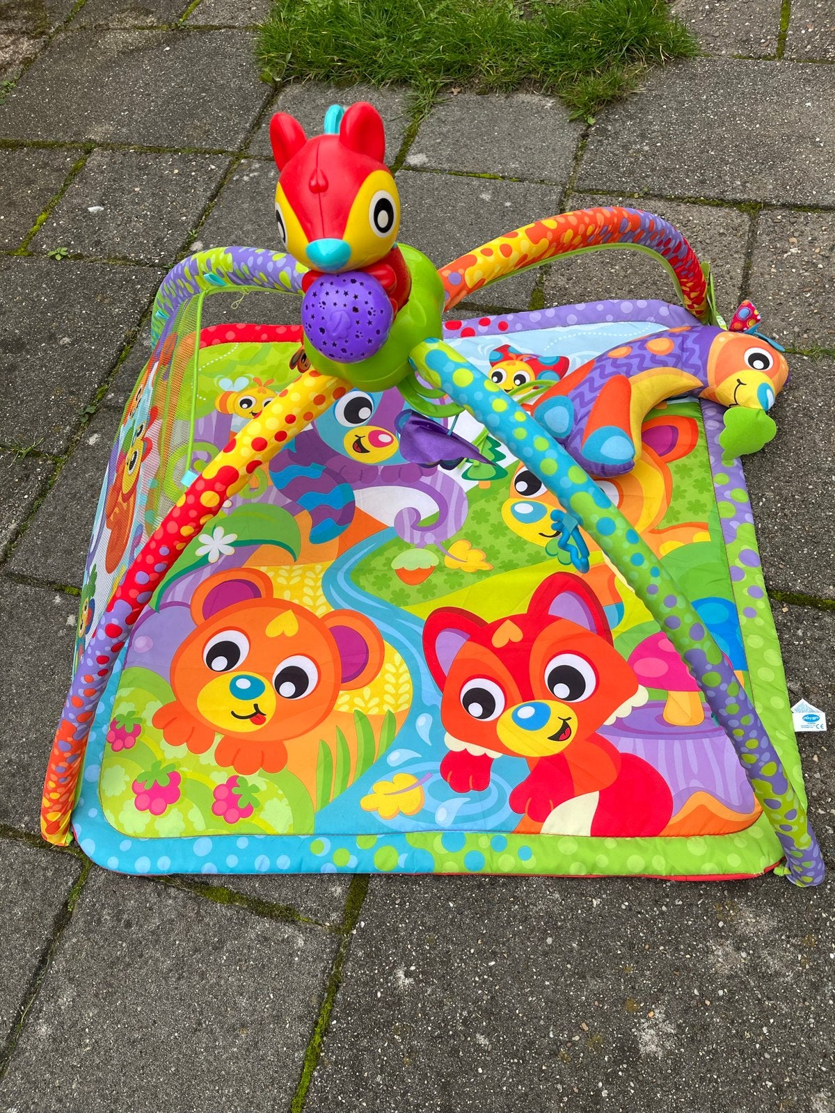 Playgro Speelkleed met Babygym en Rammelaar, Ophalen of Verzenden, Zo goed als nieuw, Speelkleed, Met geluid