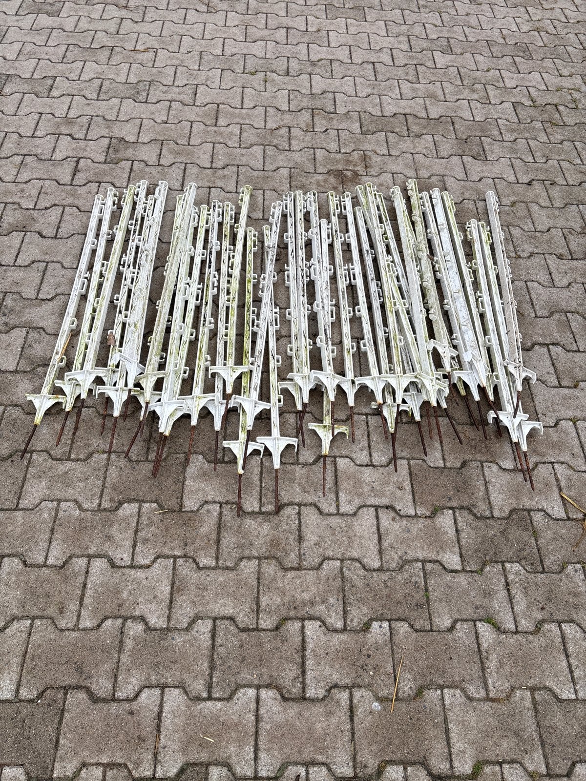 Prikpaaltjes / weidepaaltjes, Weidegang
