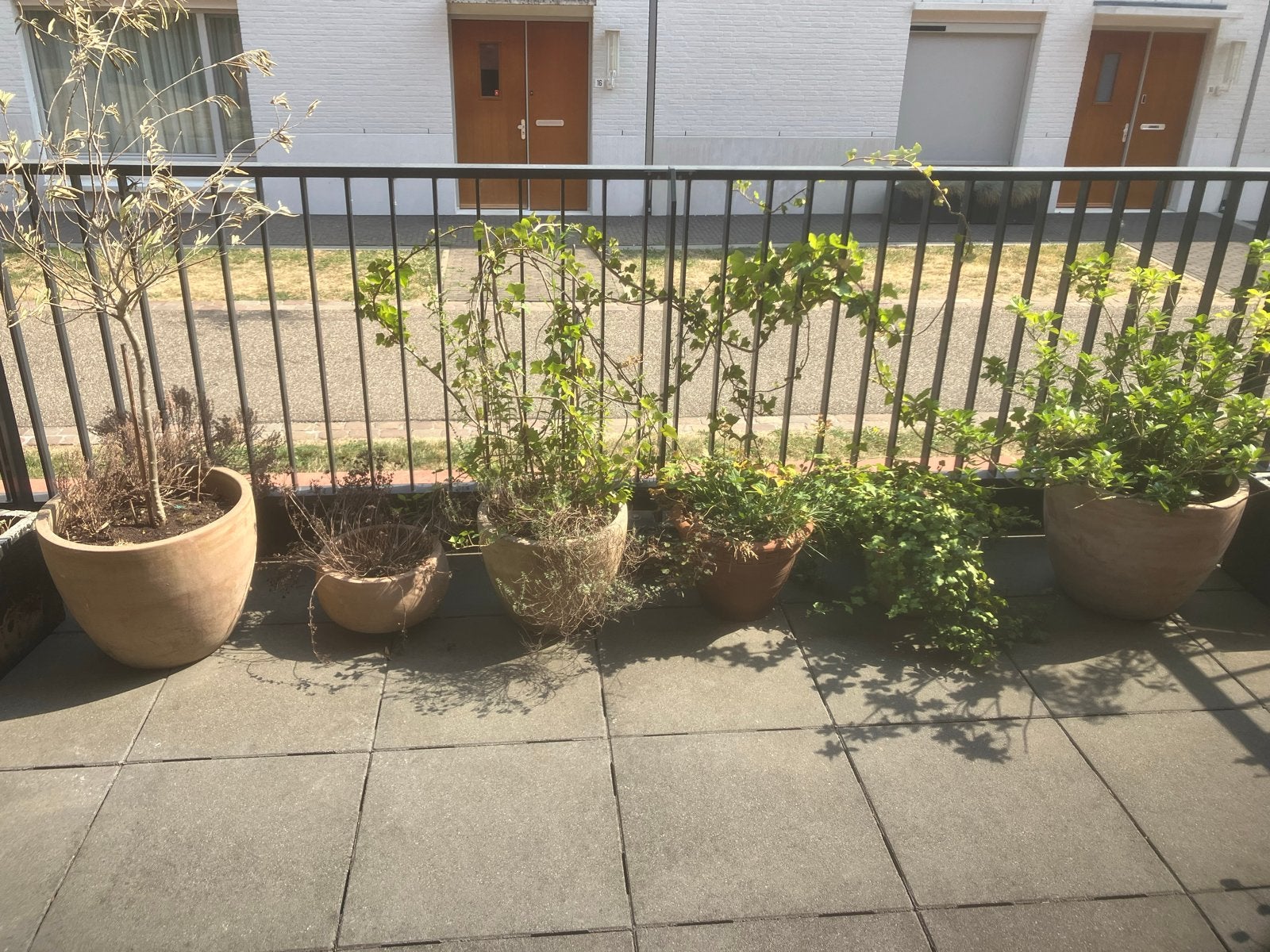 Diverse terracotta bloempotten voor balkon of tuin, Ophalen, Overige materialen, Gebruikt, Balkon