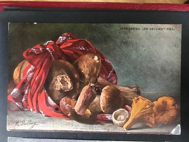 Gezocht: Fruitkaart Mij. de Betuwe 4 stuks ( zie foto's), Ophalen of Verzenden, Zo goed als nieuw, Overige typen