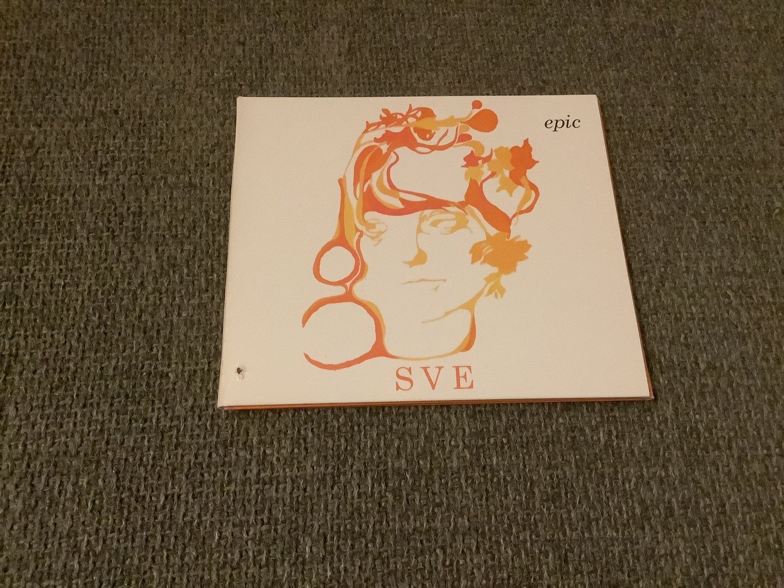 Sharon Van Etten-Epic cd (US), Ophalen of Verzenden, Gebruikt, Alternative