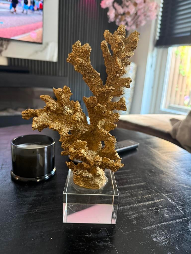 Koraal decoratie, Ophalen, Zo goed als nieuw