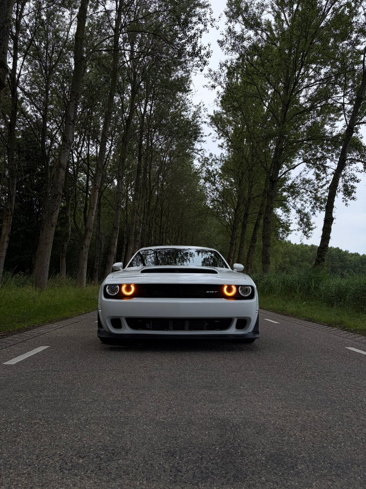 Dodge Challenger SRT 6.4 Widebody, Auto's, Euro 5, Achterwielaandrijving, 8 cilinders, 0 kg