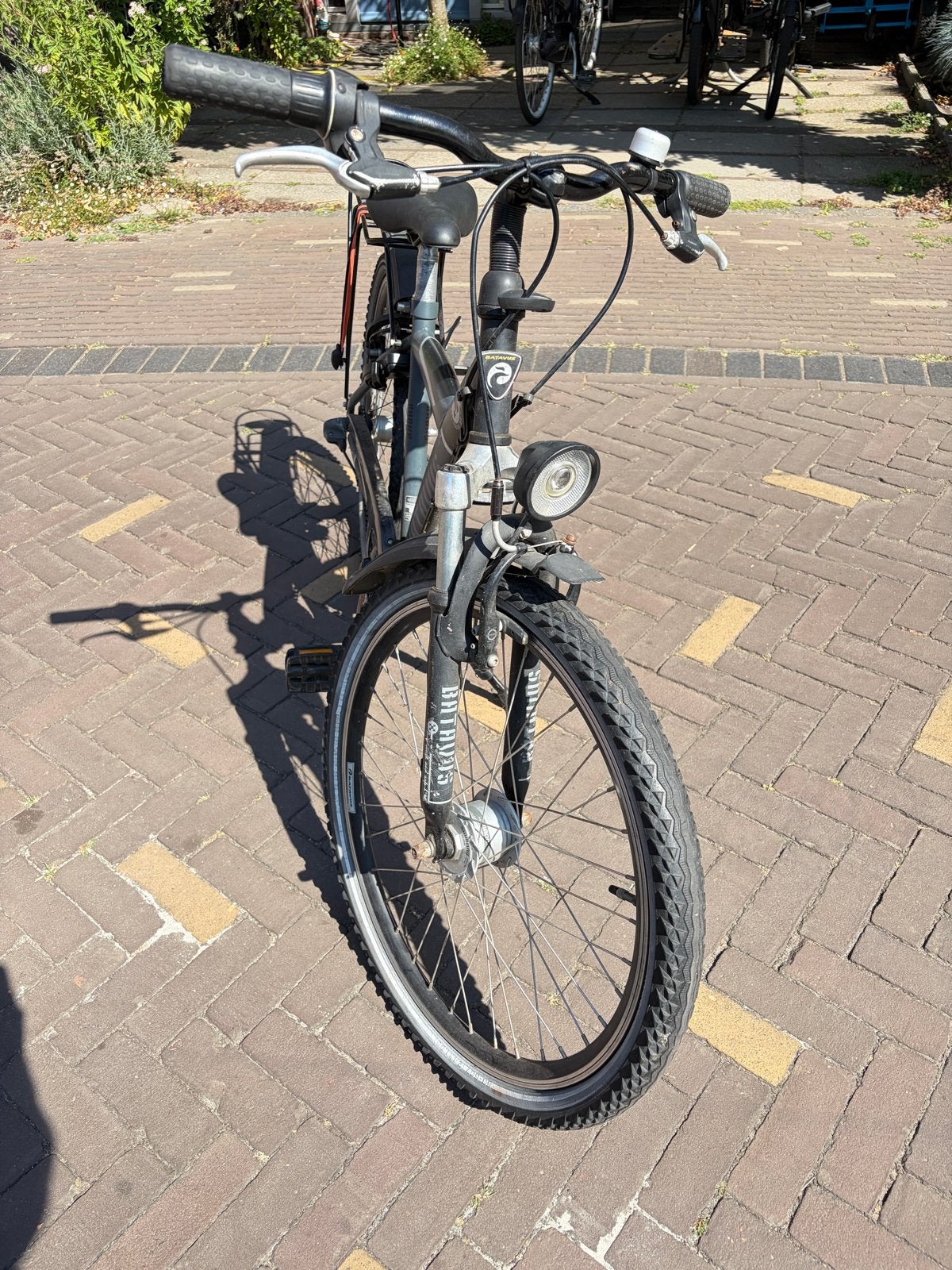 Batavus snake 24 inch, Ophalen, Gebruikt, Velgrem, 20 inch of meer