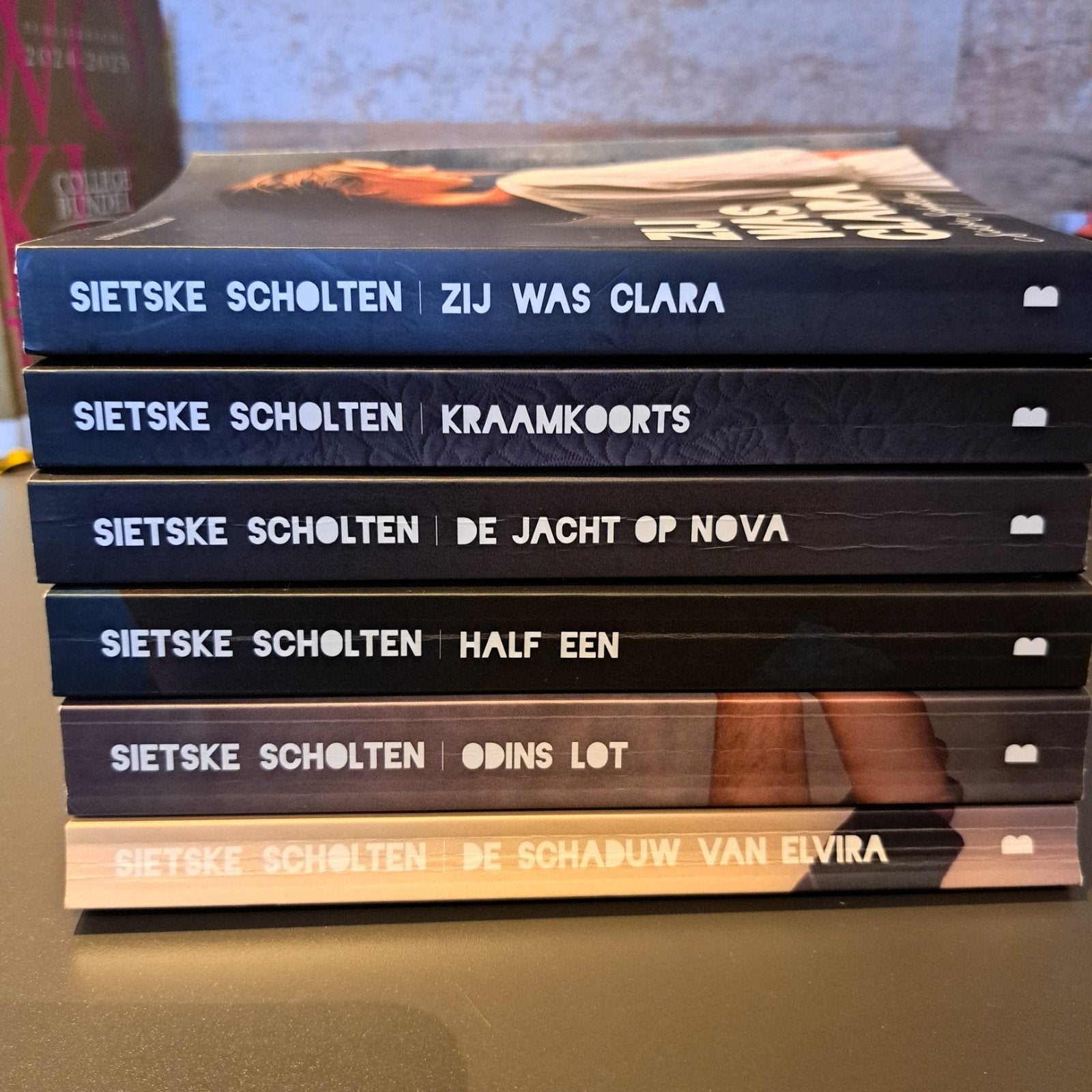 Boekenpakket Sietske Scholten - 6 titels, Ophalen of Verzenden, Gelezen, Sietske Scholten