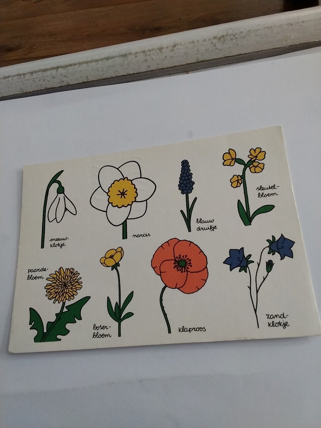 Vintage Ansichtkaart Bloemen  DICK BRUNA, Ophalen of Verzenden, 1960 tot 1980, Gelopen