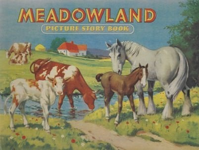 Een set van een 3-tal zgn. Picture Story Books, Ophalen of Verzenden, Gelezen
